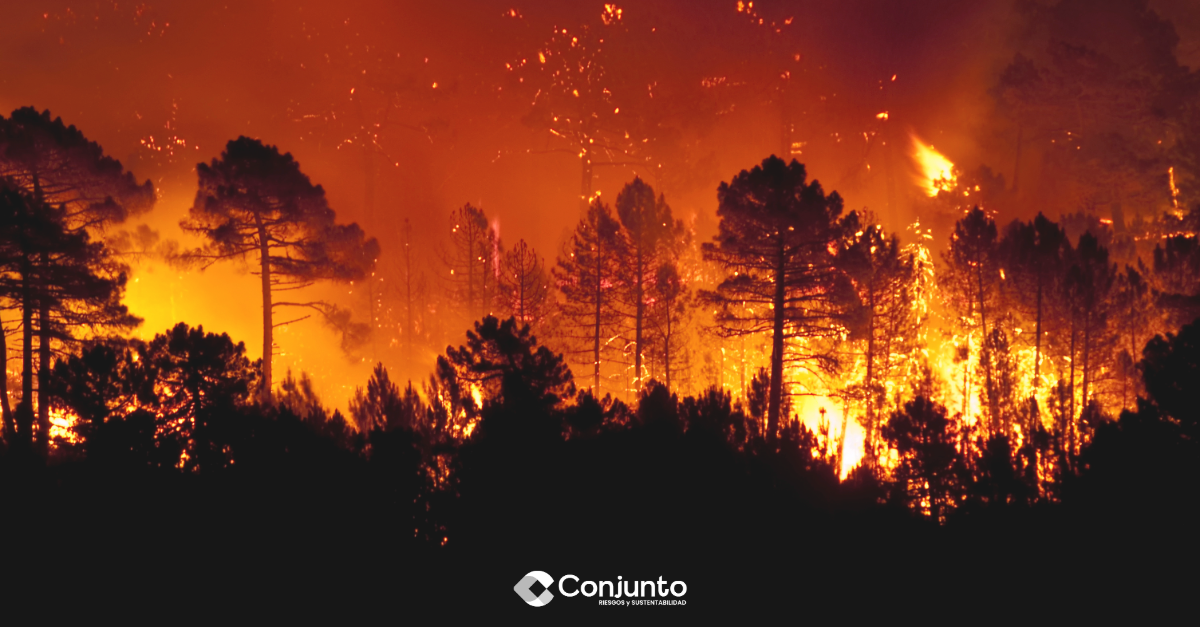 Riesgo Inminente de Incendios Forestales / Imminent Risk of Forest Fires